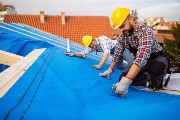 Best Flat Roof Repair Services  in Eagle, NE
